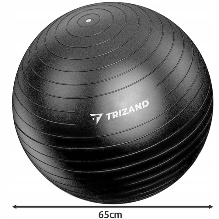 Pilka-Gimnastyczna-Rehabilitacyjna-65cm-Pompka-Marka-Trizand.jpg